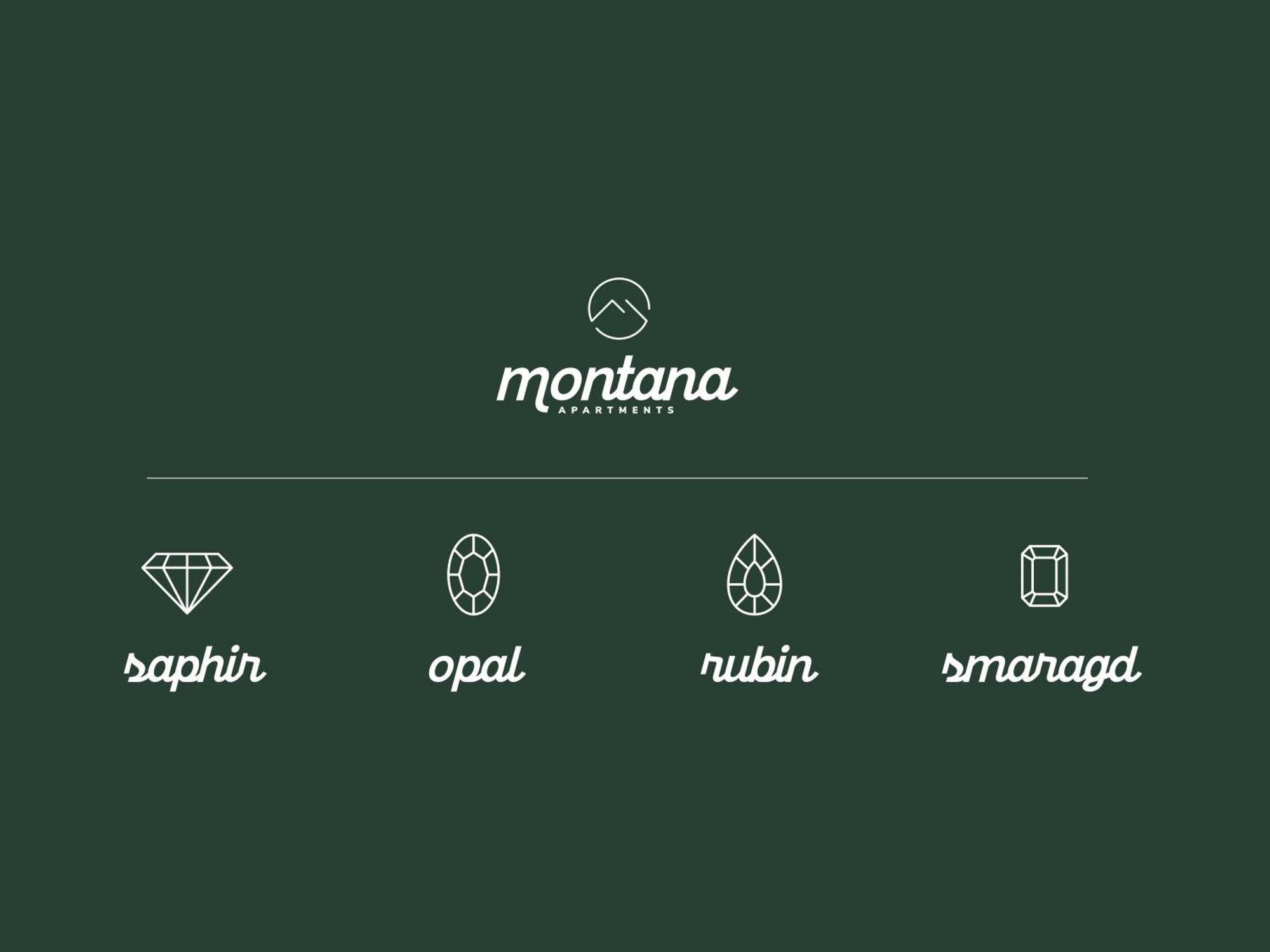 Montana Apartments Mayrhofen Zewnętrze zdjęcie